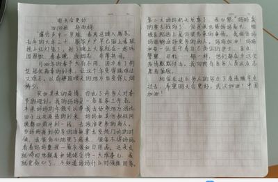 放烟花作文200字