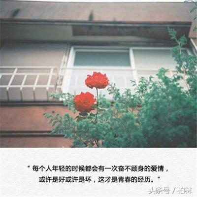 爱的经典语录