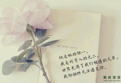 爱的经典语录