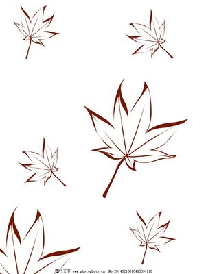 秋天枫树的简笔画