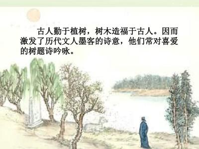 读种树郭橐驼传有感