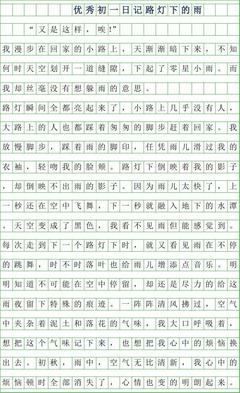 优秀日记500字
