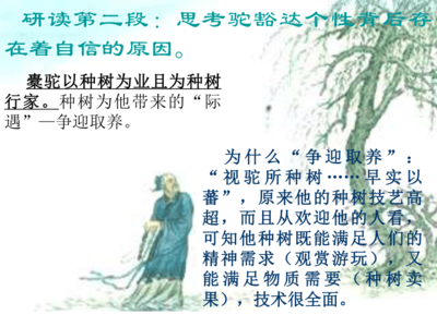读种树郭橐驼传有感