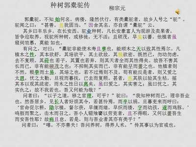 读种树郭橐驼传有感