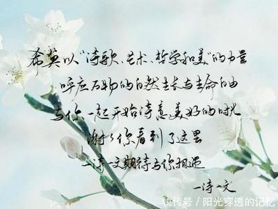 我喜欢你诗歌