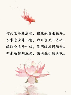 关于樱花的经典语录