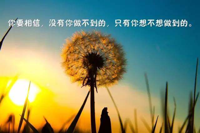 别自作聪明经典语录