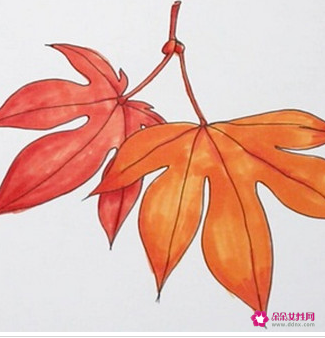 秋天枫树的简笔画