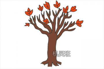 秋天枫树的简笔画