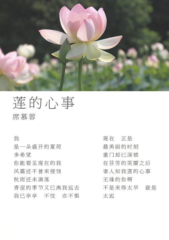 关于爱情的诗歌现代诗