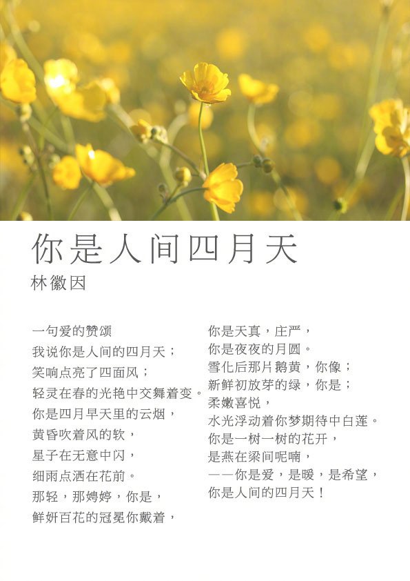 关于爱情的诗歌现代诗