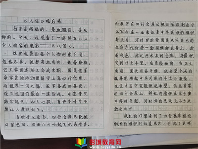 爱国教育观后感