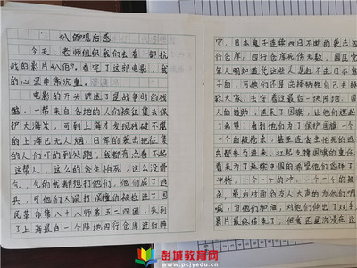 爱国教育观后感