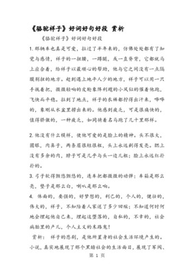 好词好句好段加感悟