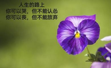心态的感悟