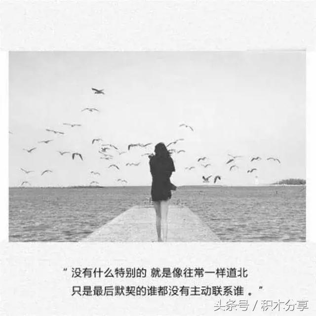 情感语录伤感
