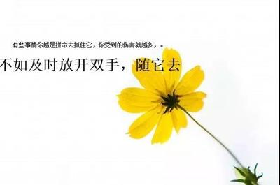 心态的感悟