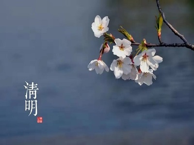对于感恩的理解