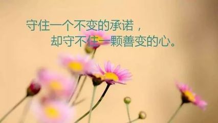 时隔多年的感悟句子