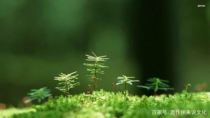 厨房感悟语录