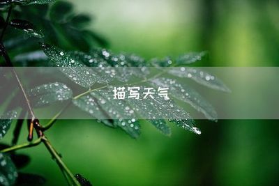 描写夏天天气的句子