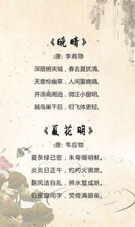 描写夏天的诗句是什么