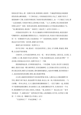 感谢有你的作文