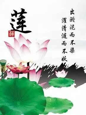 描写夏天的诗句是什么