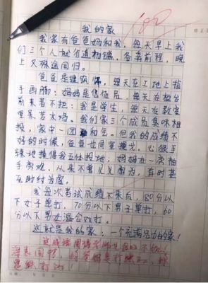 最难忘的一次流泪作文