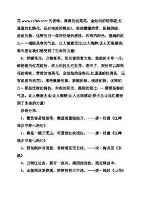 好词好句感想摘抄大全