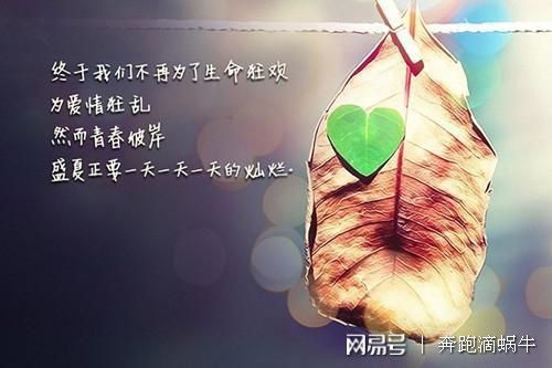爱自己语录