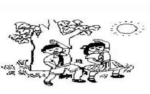 夏天的池塘边看图写话
