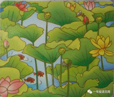 夏天的池塘边看图写话