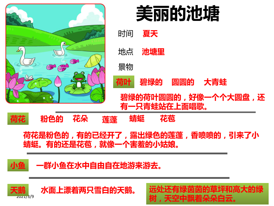 夏天的池塘边看图写话