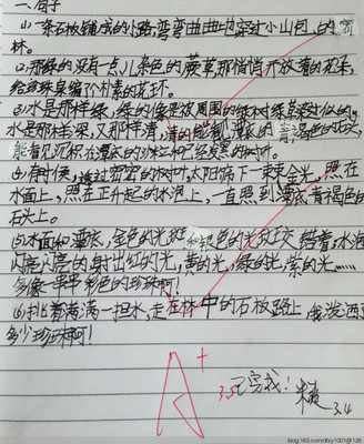 好词好句感想摘抄大全