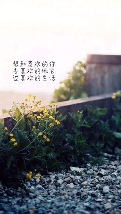 爱自己语录