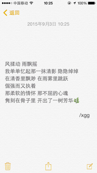 关于爱情我只字不提