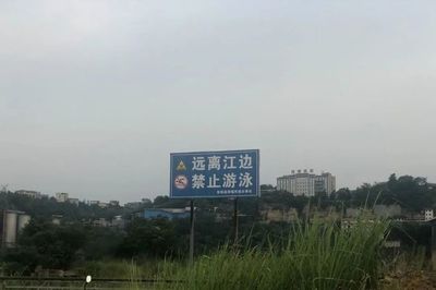 游泳比赛口号