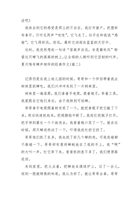 夏天的声音作文