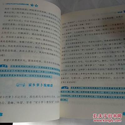 关爱作文开头