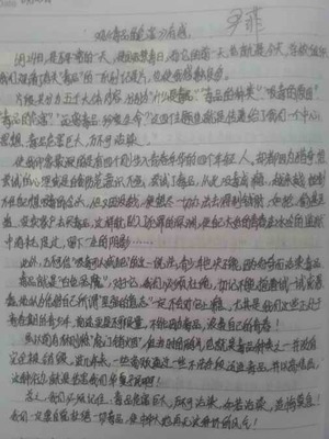期中考试观后感