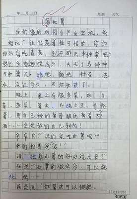 优秀记叙文范文