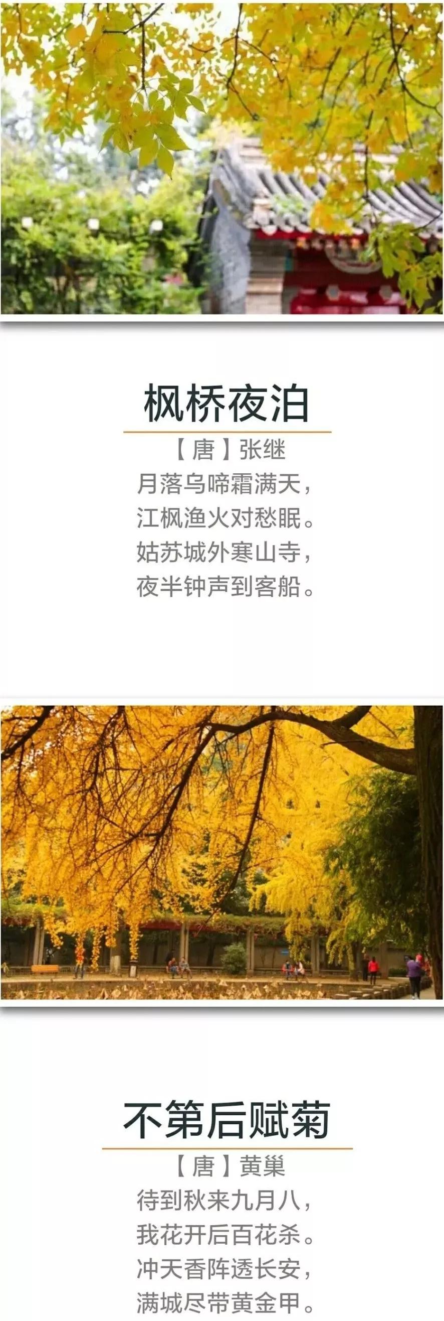 秋天有关的古诗