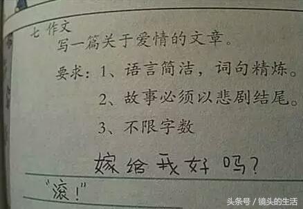 父母的爱情故事作文