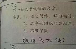 父母的爱情故事作文