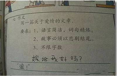 父母的爱情故事作文