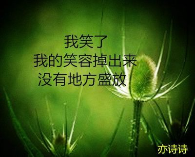 经典语录语句