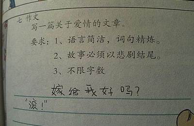 父母的爱情故事作文
