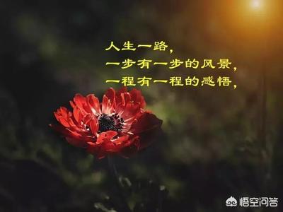 初次见面的美好的语句
