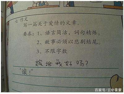 父母的爱情故事作文
